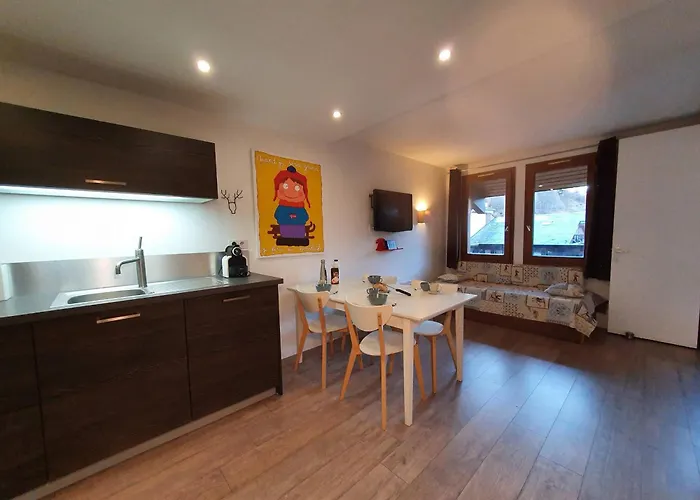 Familial 4 Pers Au Pied Des Pistes, Animaux Admis - Fr-1-353-41 *